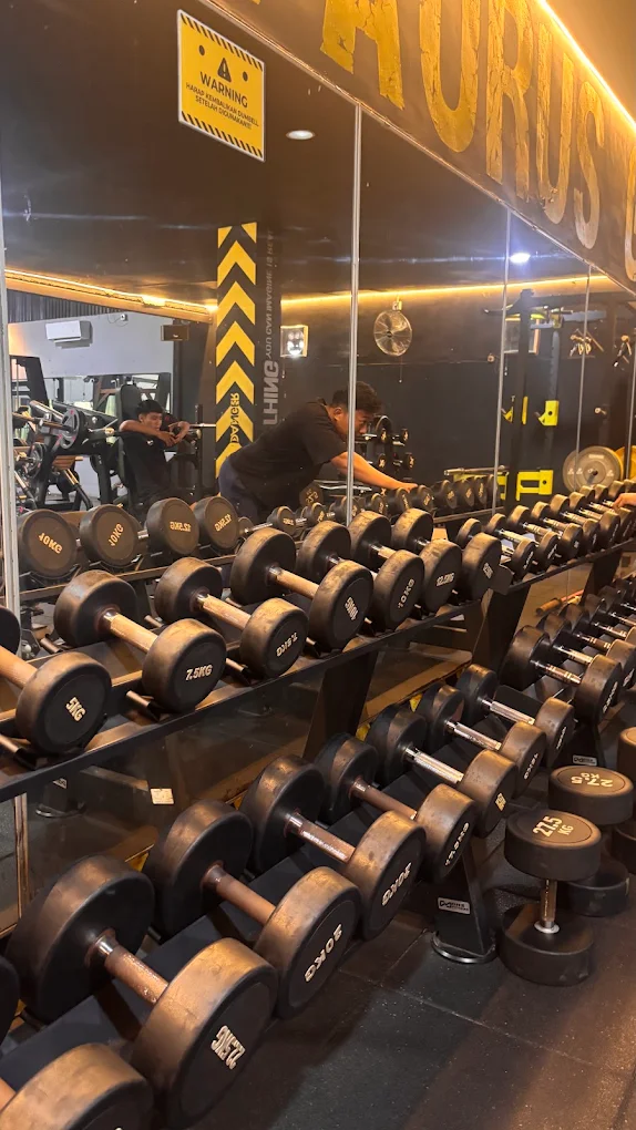 Rak dumbbell lengkap dari 5 kg hingga 50 kg