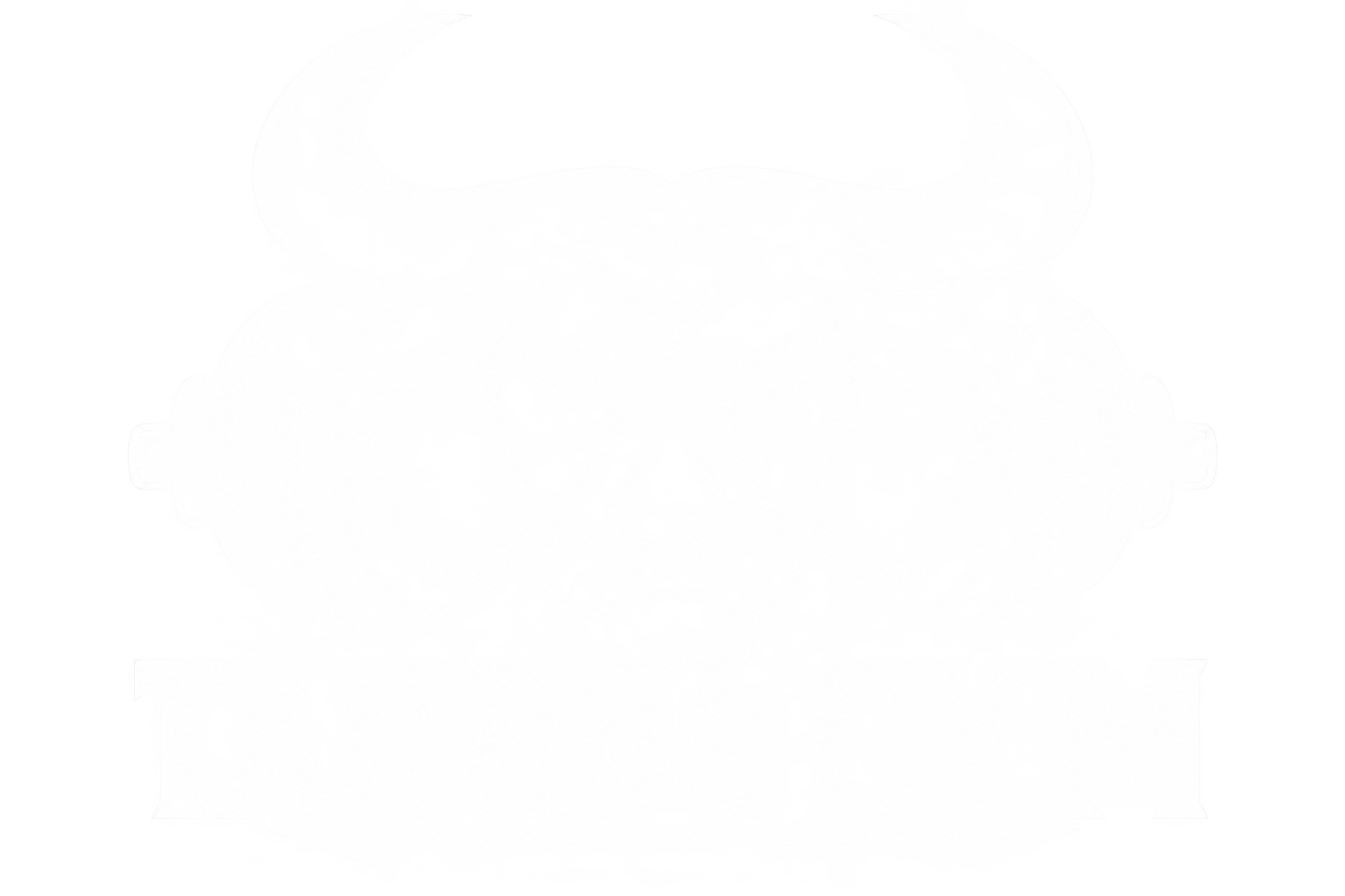 Logo Taurus Gym